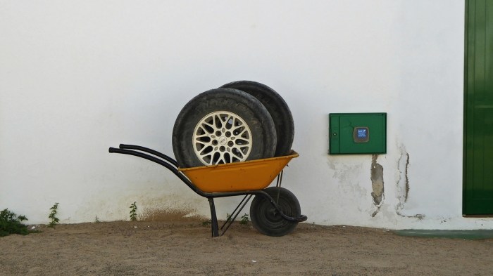 P1010022 16-9 x - Kopie